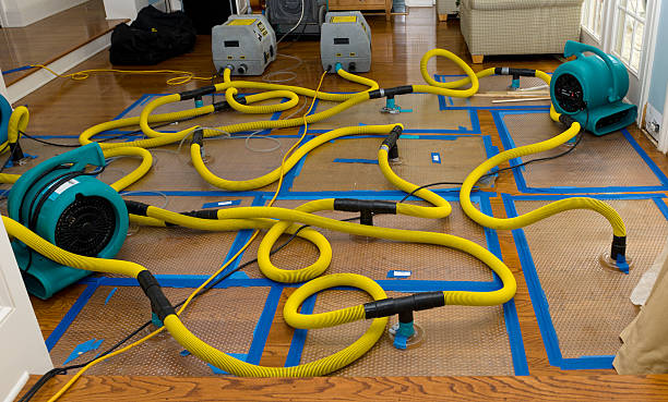 Professional Basement Flood Cleanup technician working in Clyman, WI